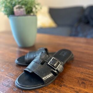 Black Snakeskin Slide Sandals with Buckle